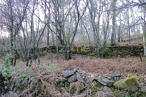 image-FzUNQ7RUmOv-0