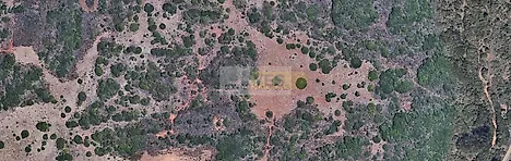 image-47RfVrHn4XP-0