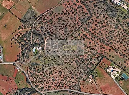 listing-8eINBkPVwrK