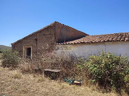 image-Lx7cSyMo7Pv-0
