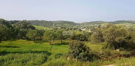 image-Ov1Nlu4U9D-0