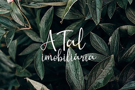 office-a-tal-imobiliaria