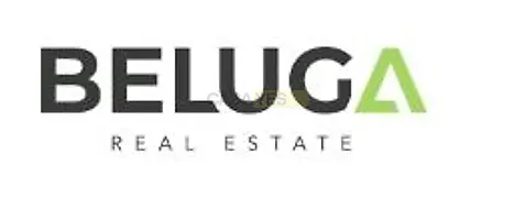 office-beluga-real-estate