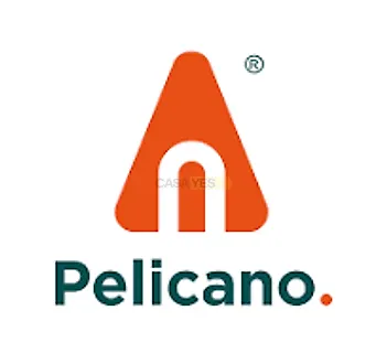 office-mudda-pelicano