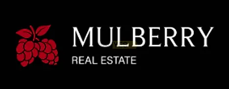 office-mulberry-real-estate