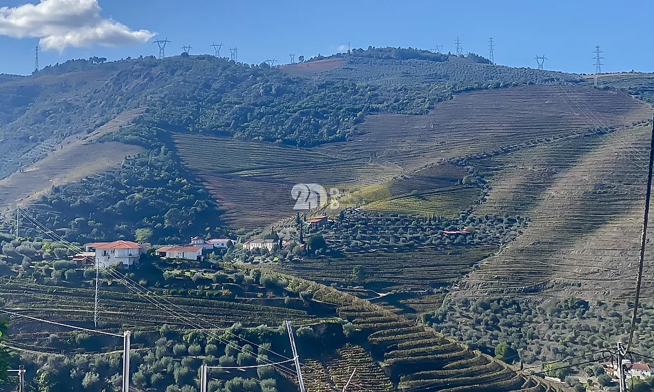 Moradia T3 à venda em Vacalar, Armamar — foto 5
