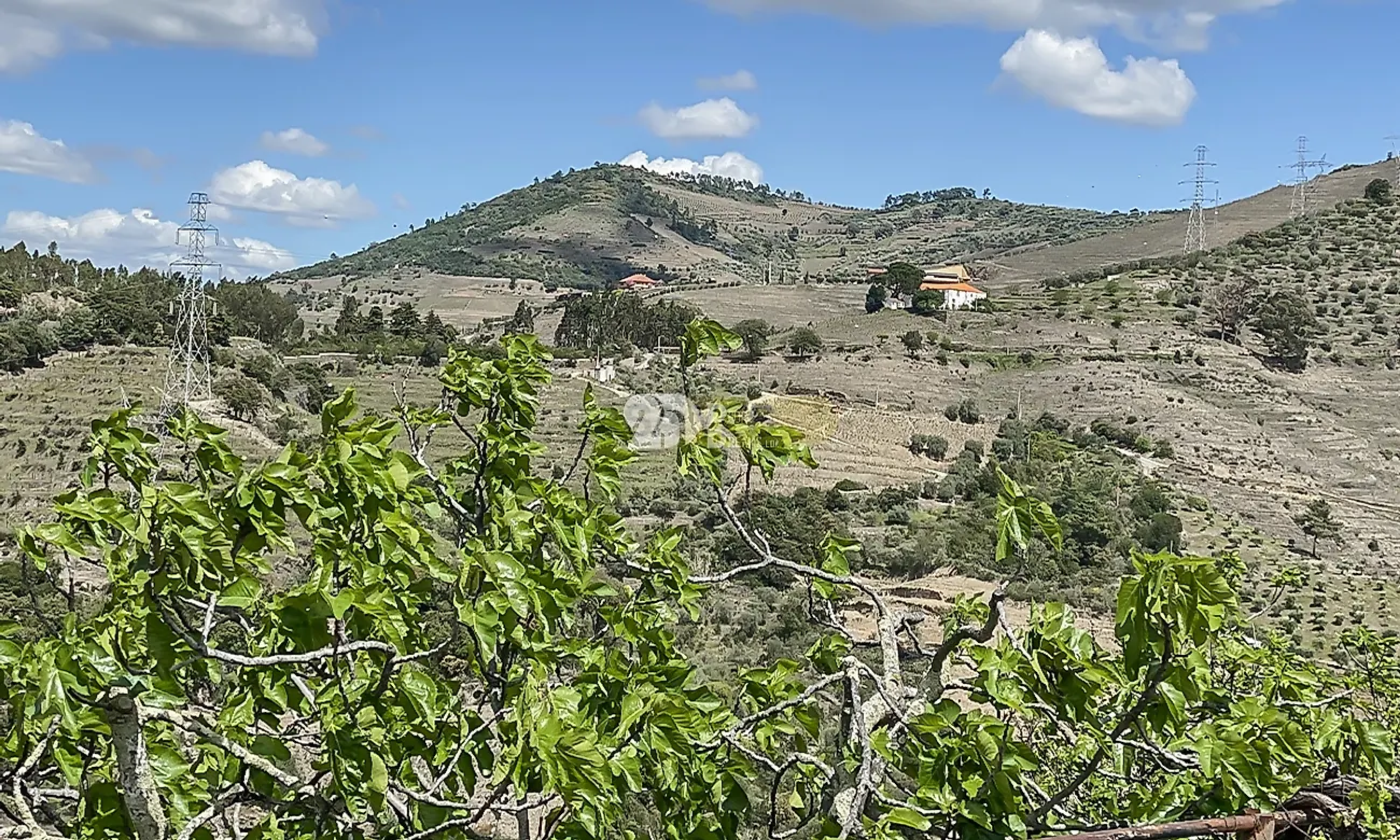 Moradia T3 à venda em Vacalar, Armamar — foto 3
