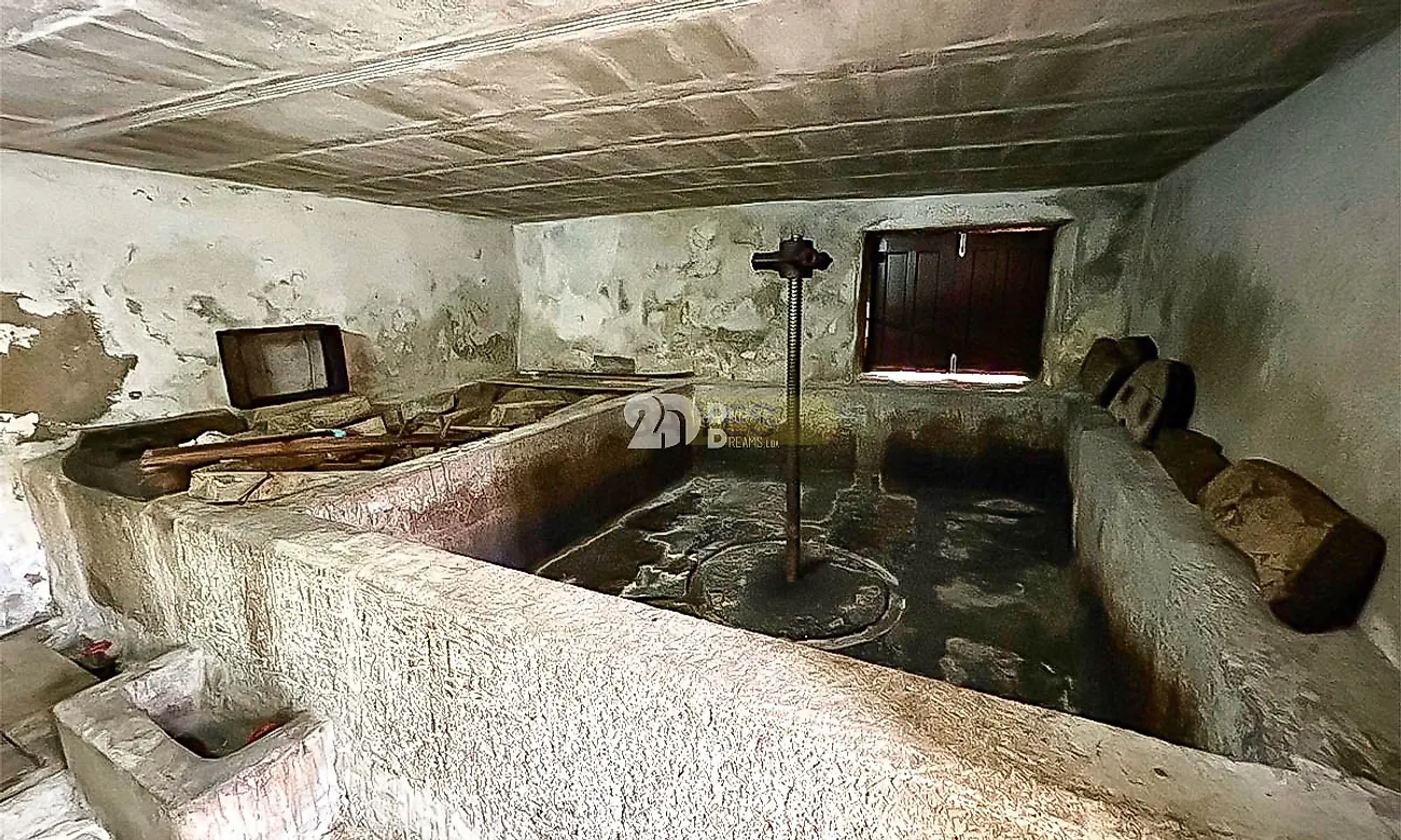 Moradia T5 à venda em Barcos e Santa Leocádia, Tabuaço — foto 18