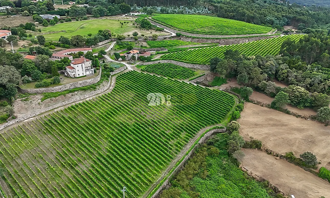 Apartamento T5 à venda em Santo Tirso, Couto (Santa Cristina e São Miguel) e Burgães, Santo Tirso — foto 18