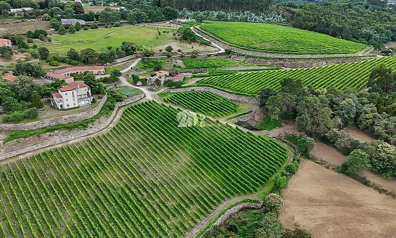 Apartamento T5 à venda em Santo Tirso, Couto (Santa Cristina e São Miguel) e Burgães, Santo Tirso — foto 14