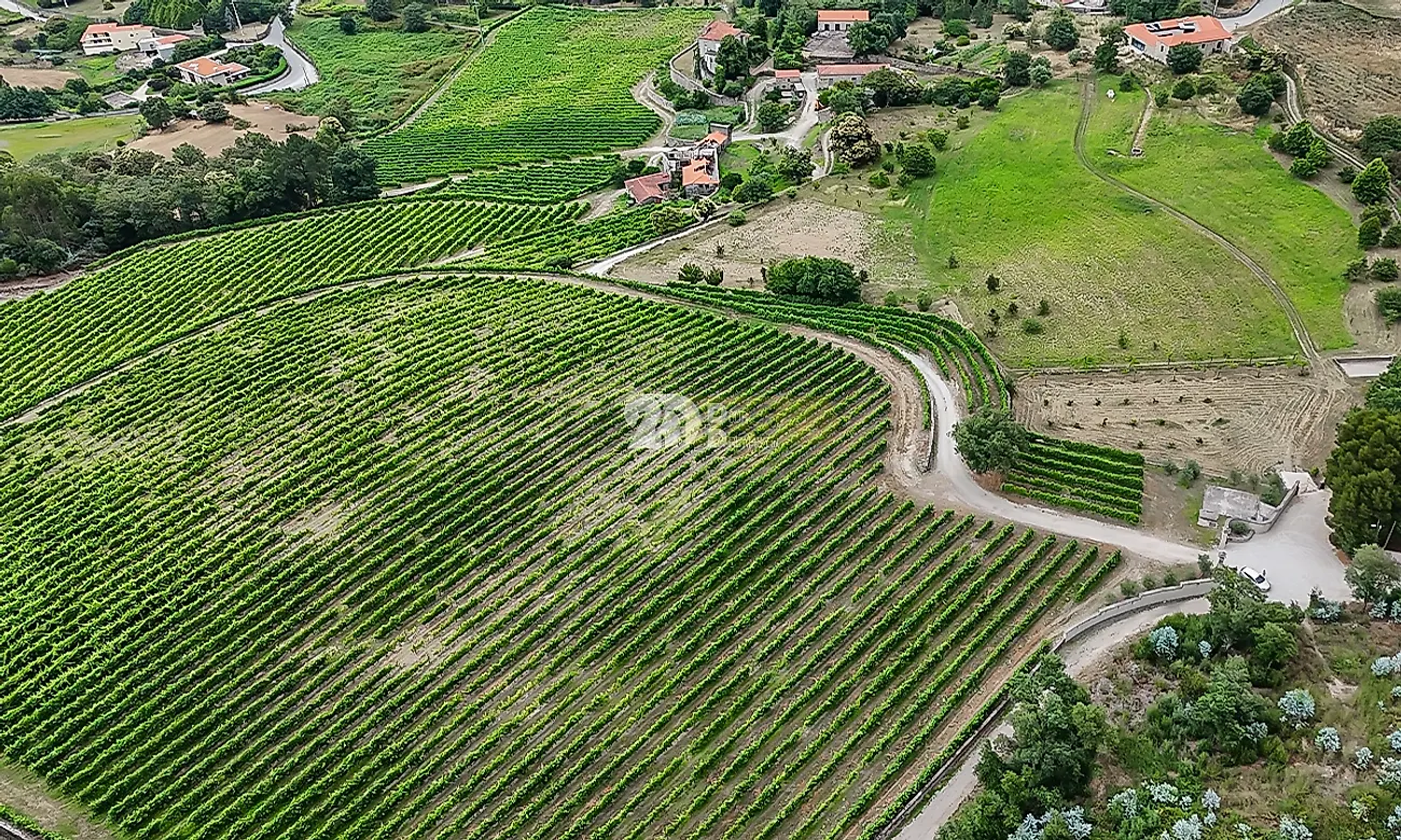 Apartamento T5 à venda em Santo Tirso, Couto (Santa Cristina e São Miguel) e Burgães, Santo Tirso — foto 6