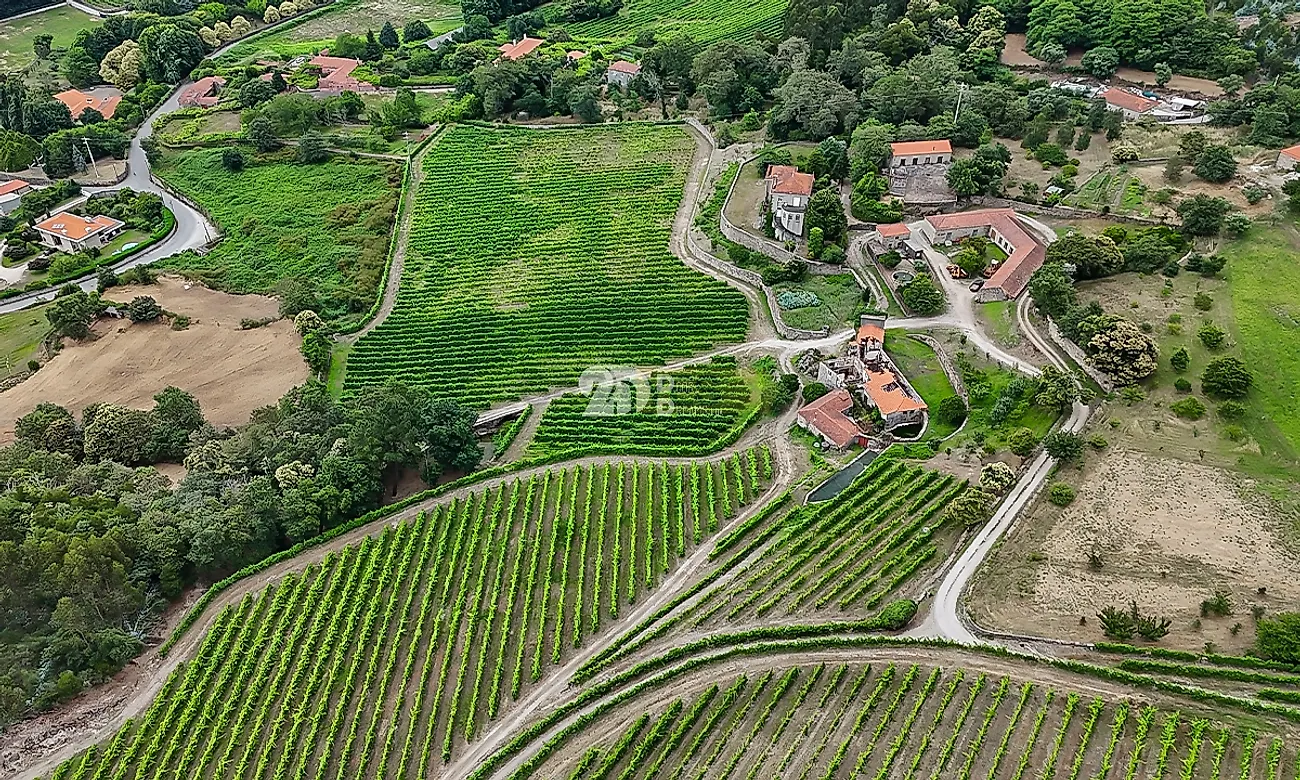 Apartamento T5 à venda em Santo Tirso, Couto (Santa Cristina e São Miguel) e Burgães, Santo Tirso — foto 10