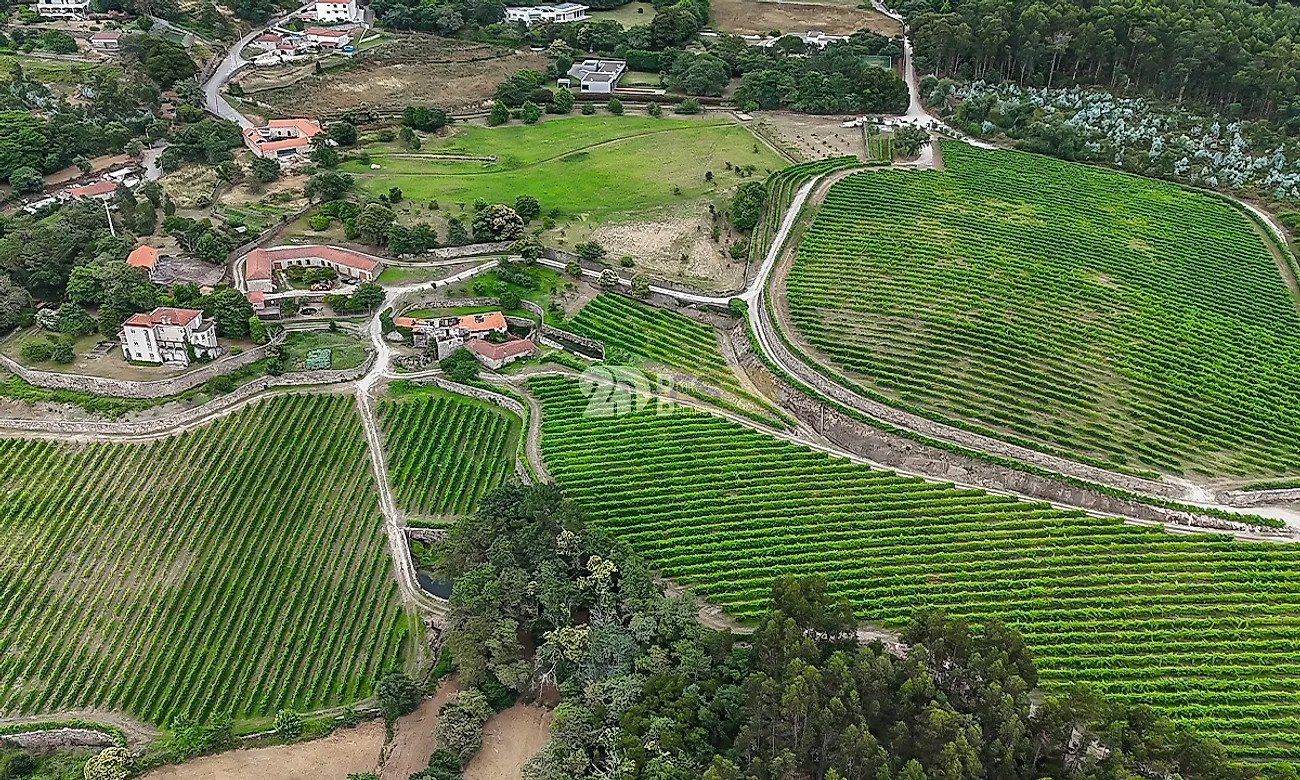 Apartamento T5 à venda em Santo Tirso, Couto (Santa Cristina e São Miguel) e Burgães, Santo Tirso — foto 11