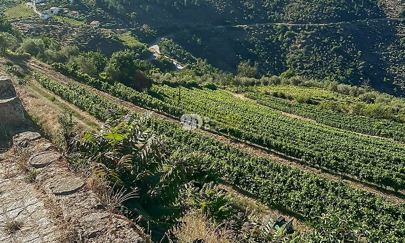 Apartamento T5 à venda em Távora e Pereiro, Tabuaço — foto 17