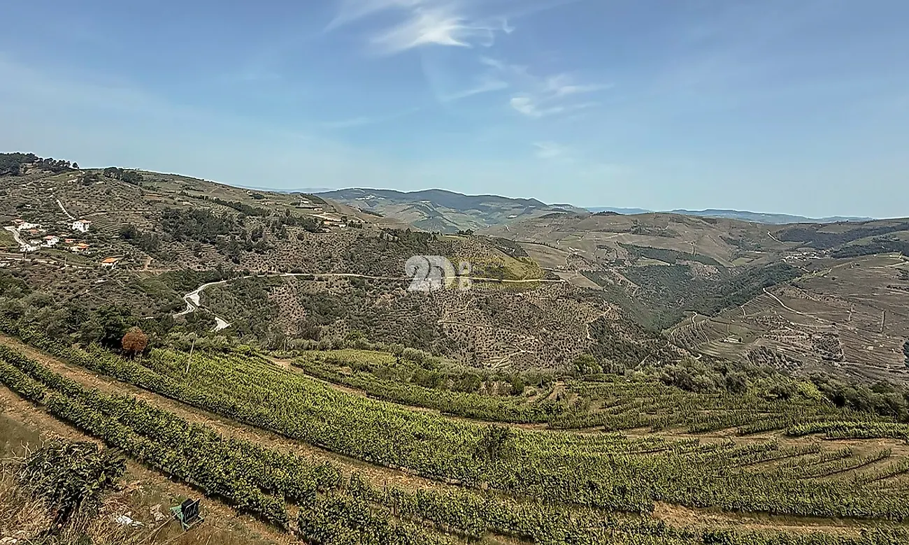 Apartamento T5 à venda em Távora e Pereiro, Tabuaço — foto 9