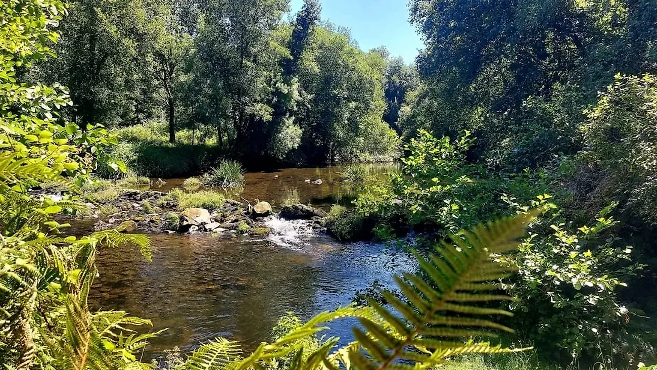 Moradia T6+ à venda em Covas, Vila Nova de Cerveira — foto 30