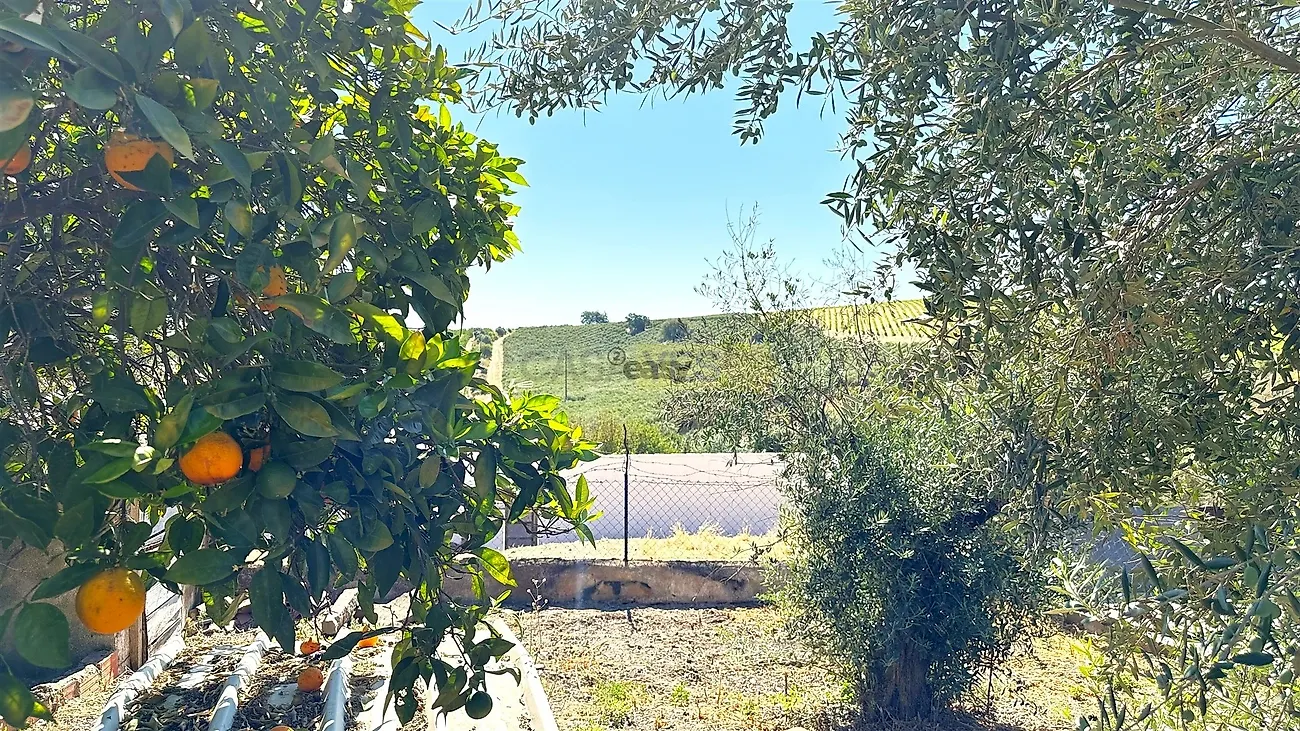 Moradia T2 à venda em Montoito, Redondo — foto 33