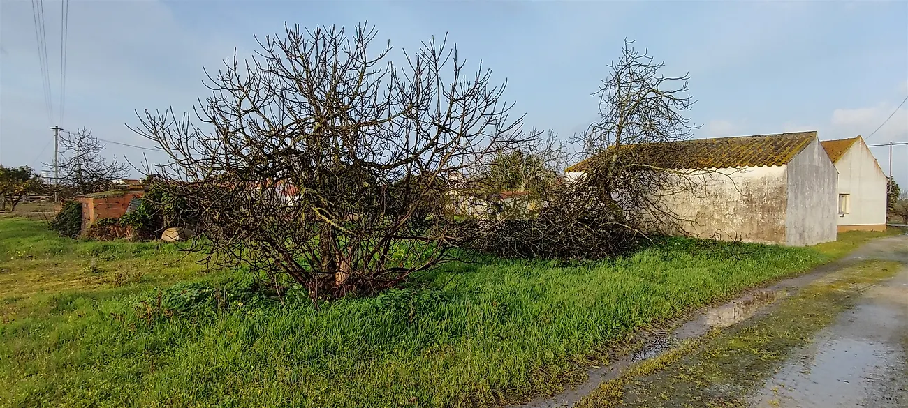 Moradia T3 à venda em Canha, Montijo — foto 7