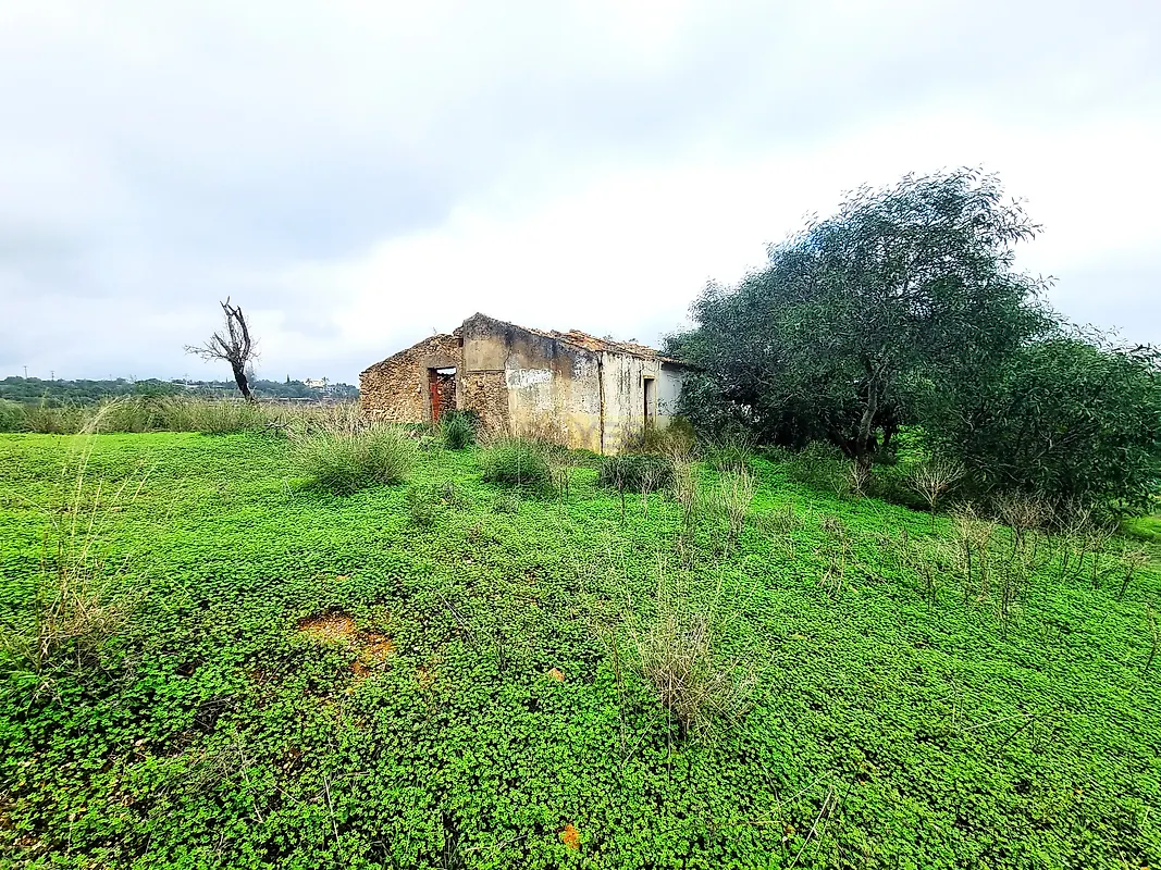 Moradia T0 à venda em Quelfes, Olhão — foto 4