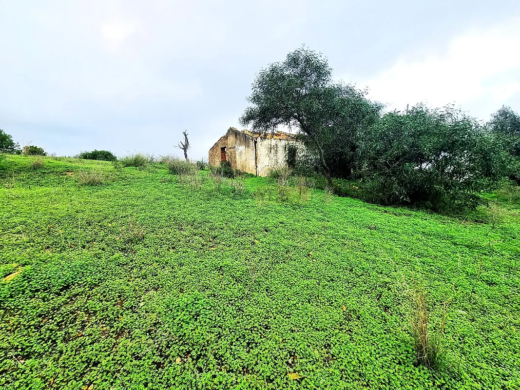 Moradia T0 à venda em Quelfes, Olhão — foto 5