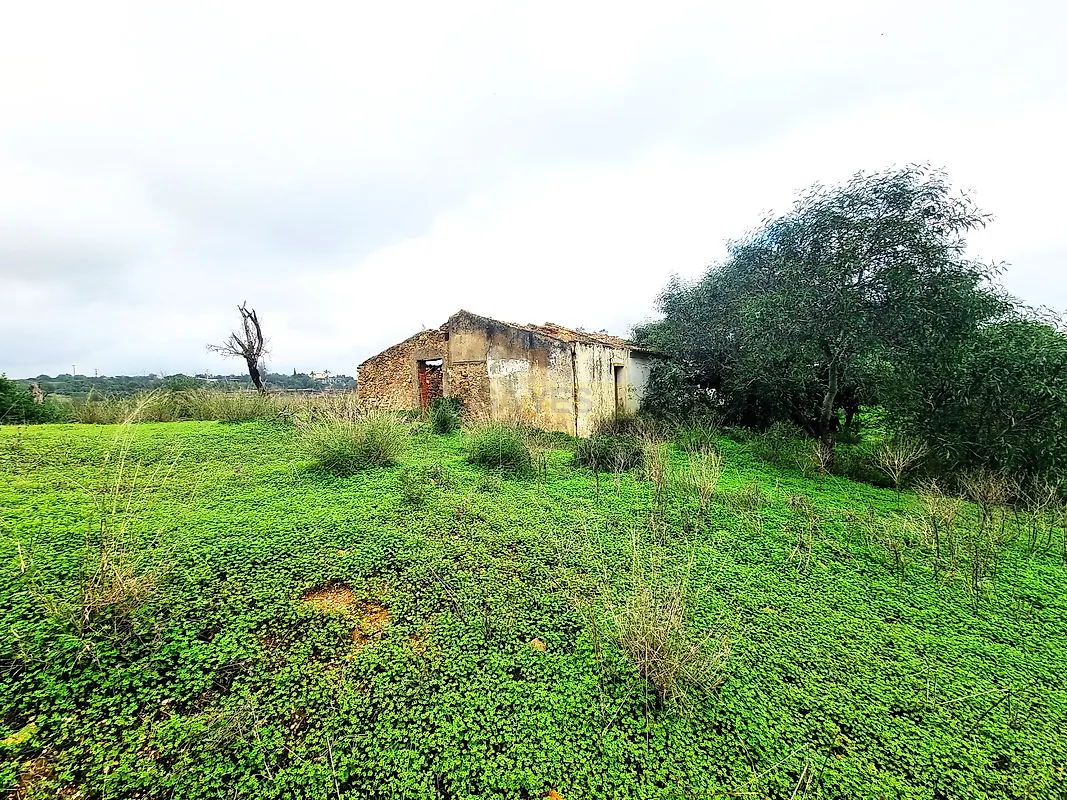Moradia T0 à venda em Quelfes, Olhão — foto 6