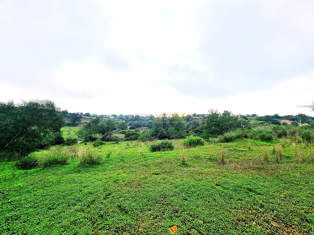 Moradia T0 à venda em Quelfes, Olhão — foto 8
