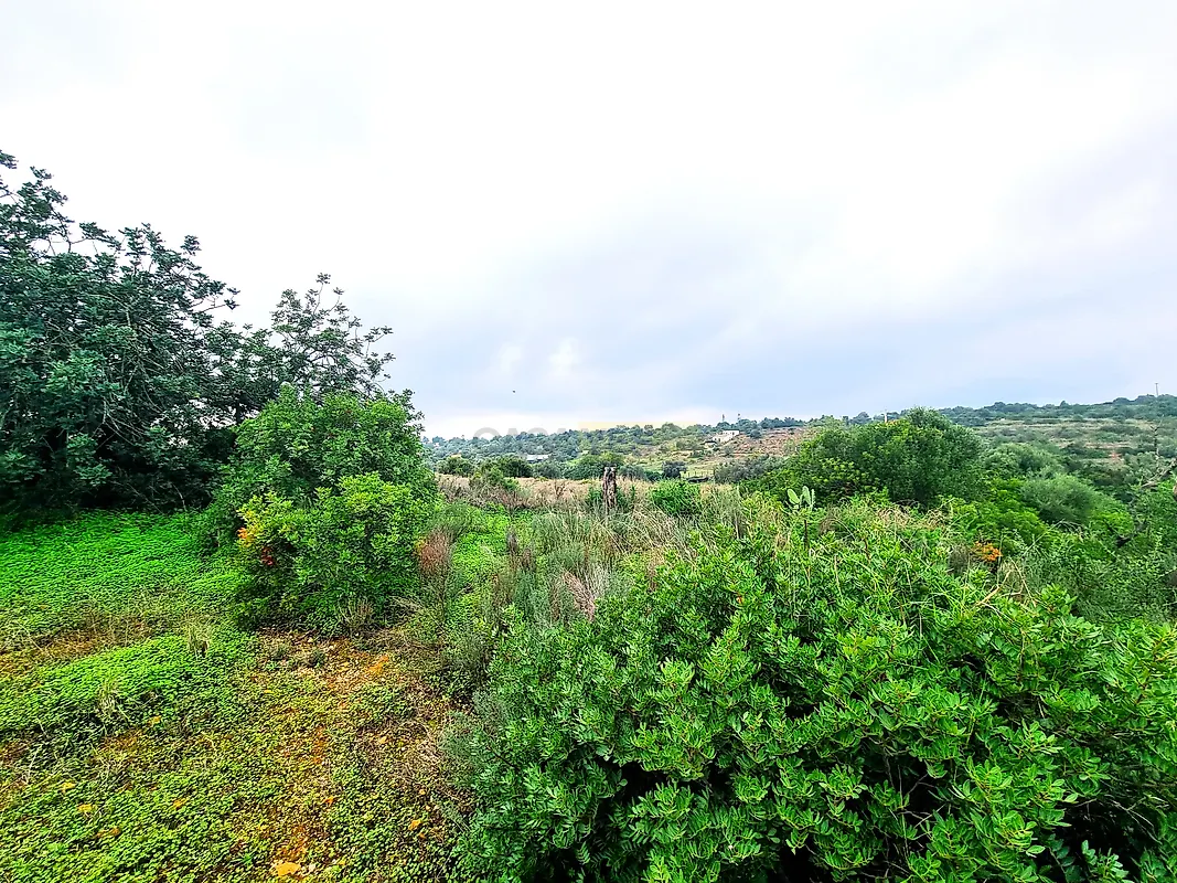 Moradia T0 à venda em Quelfes, Olhão — foto 9