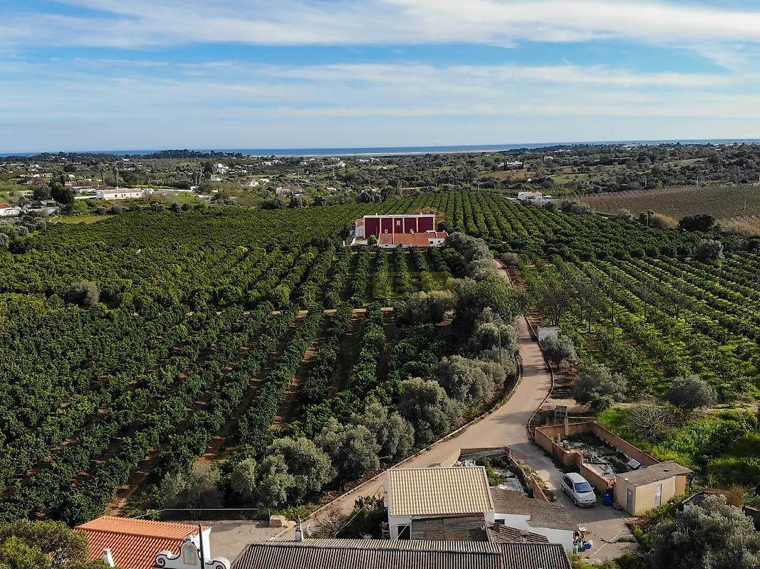 Moradia T6+ à venda em Luz de Tavira e Santo Estêvão, Tavira — foto 17