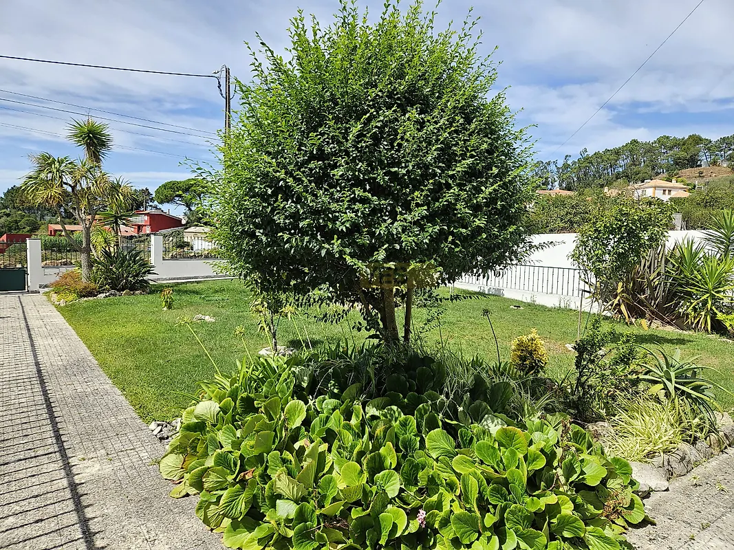Moradia T4 à venda em Almargem do Bispo, Pêro Pinheiro e Montelavar, Sintra — foto 5