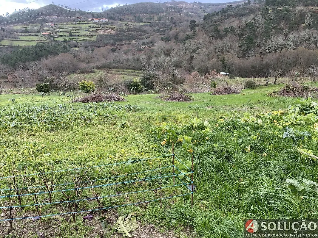Moradia T2 à venda em Cárquere, Resende — foto 22
