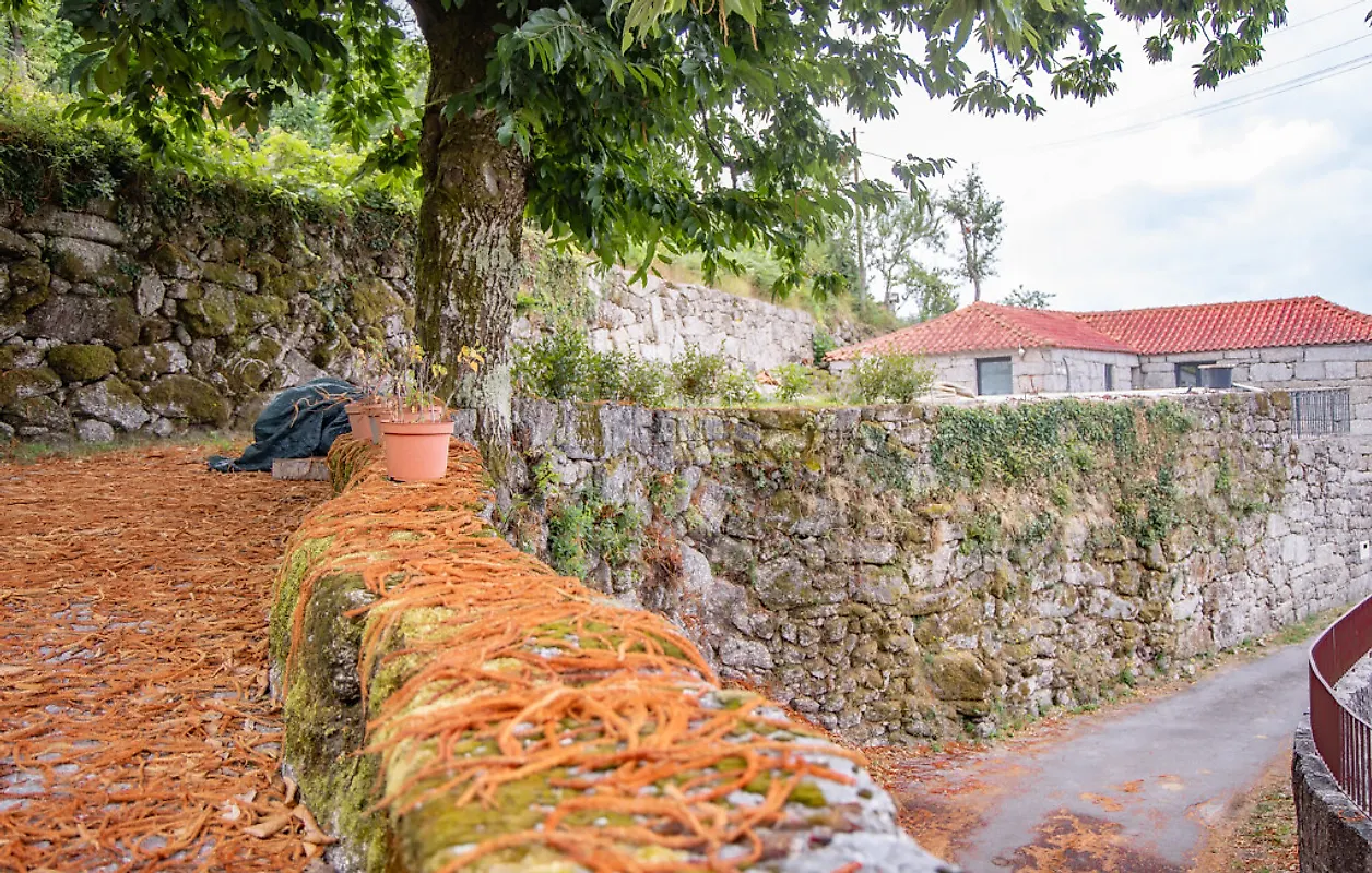 Moradia T4 à venda em Pinheiro, Vieira do Minho — foto 22
