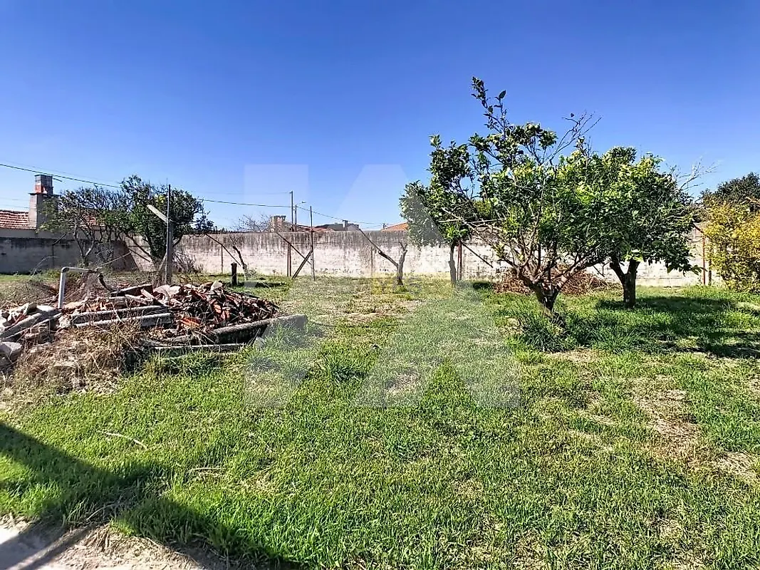 Moradia T2 à venda em Torreira, Murtosa — foto 17