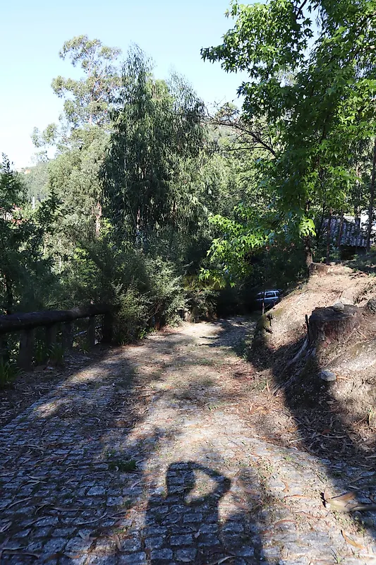 Moradia T4 à venda em Ventosa e Cova, Vieira do Minho — foto 7