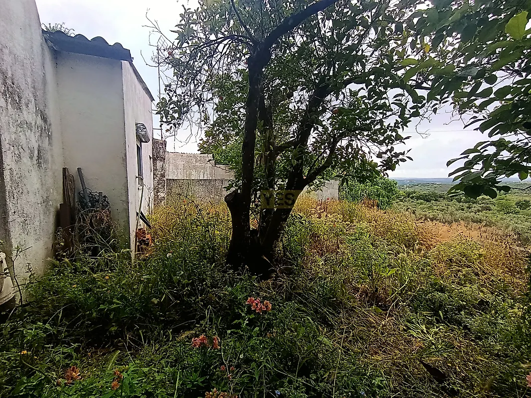Moradia T3 à venda em Valhascos, Sardoal — foto 28