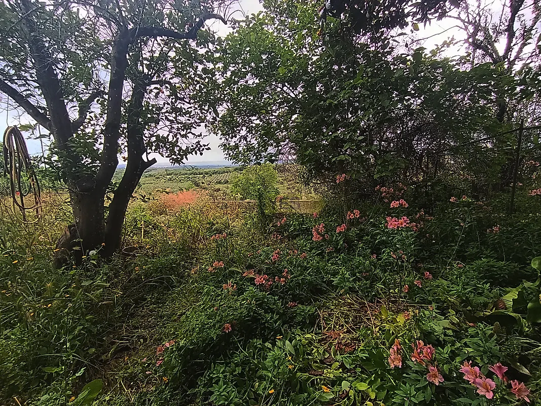 Moradia T3 à venda em Valhascos, Sardoal — foto 30