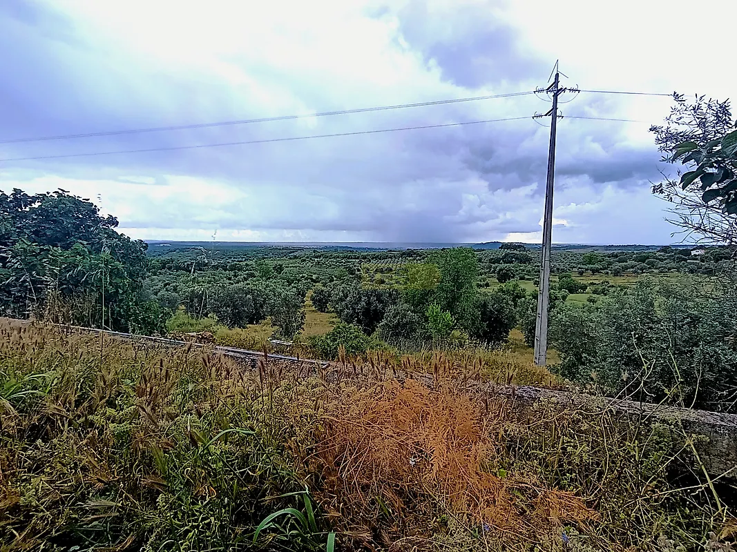 Moradia T3 à venda em Valhascos, Sardoal — foto 31