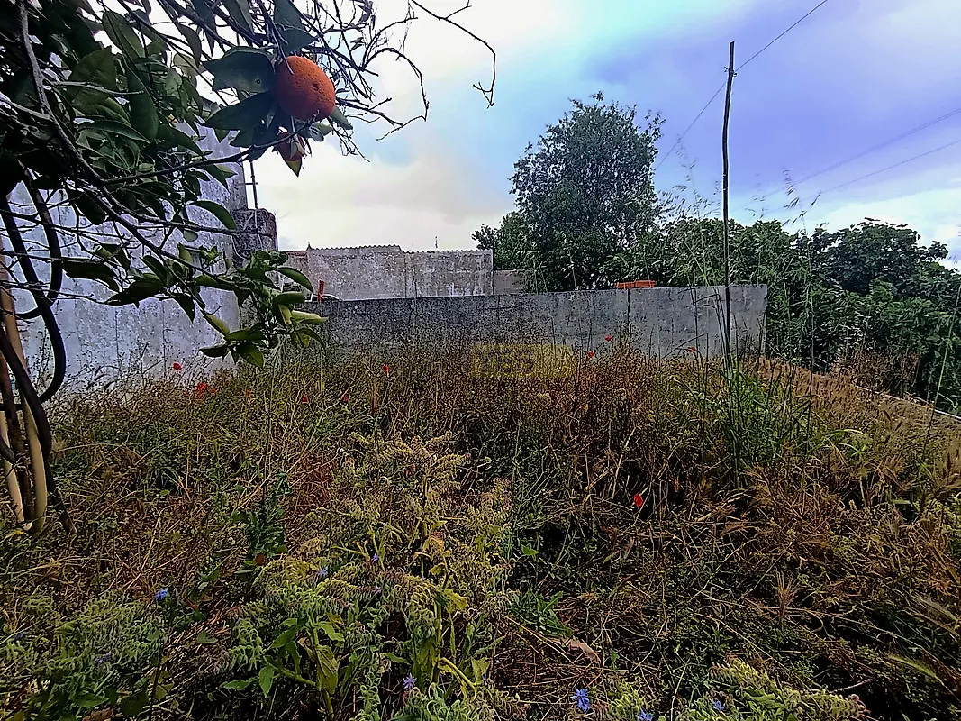 Moradia T3 à venda em Valhascos, Sardoal — foto 32