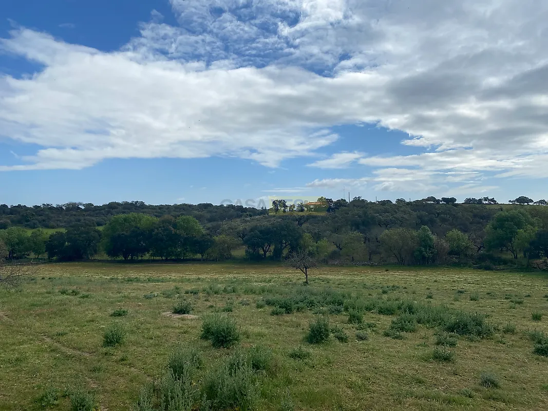 Apartamento T5 à venda em Sousel, Sousel — foto 30