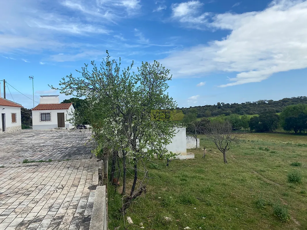 Apartamento T5 à venda em Sousel, Sousel — foto 34