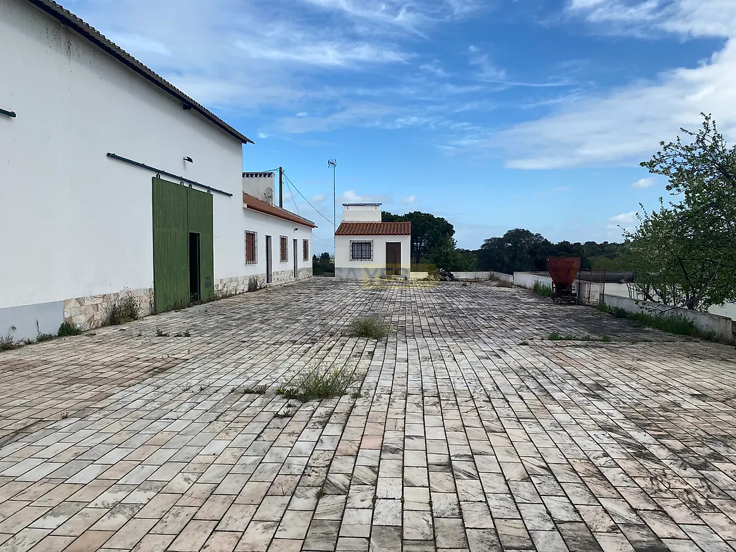 Apartamento T5 à venda em Sousel, Sousel — foto 35