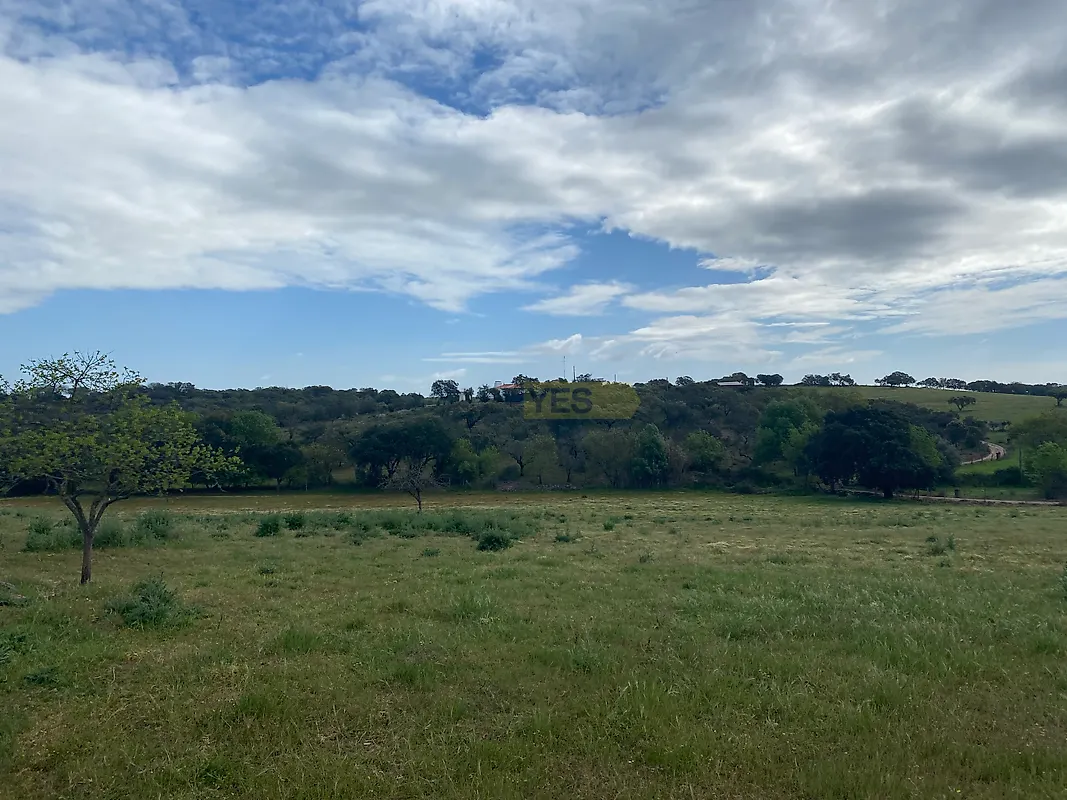 Apartamento T5 à venda em Sousel, Sousel — foto 37