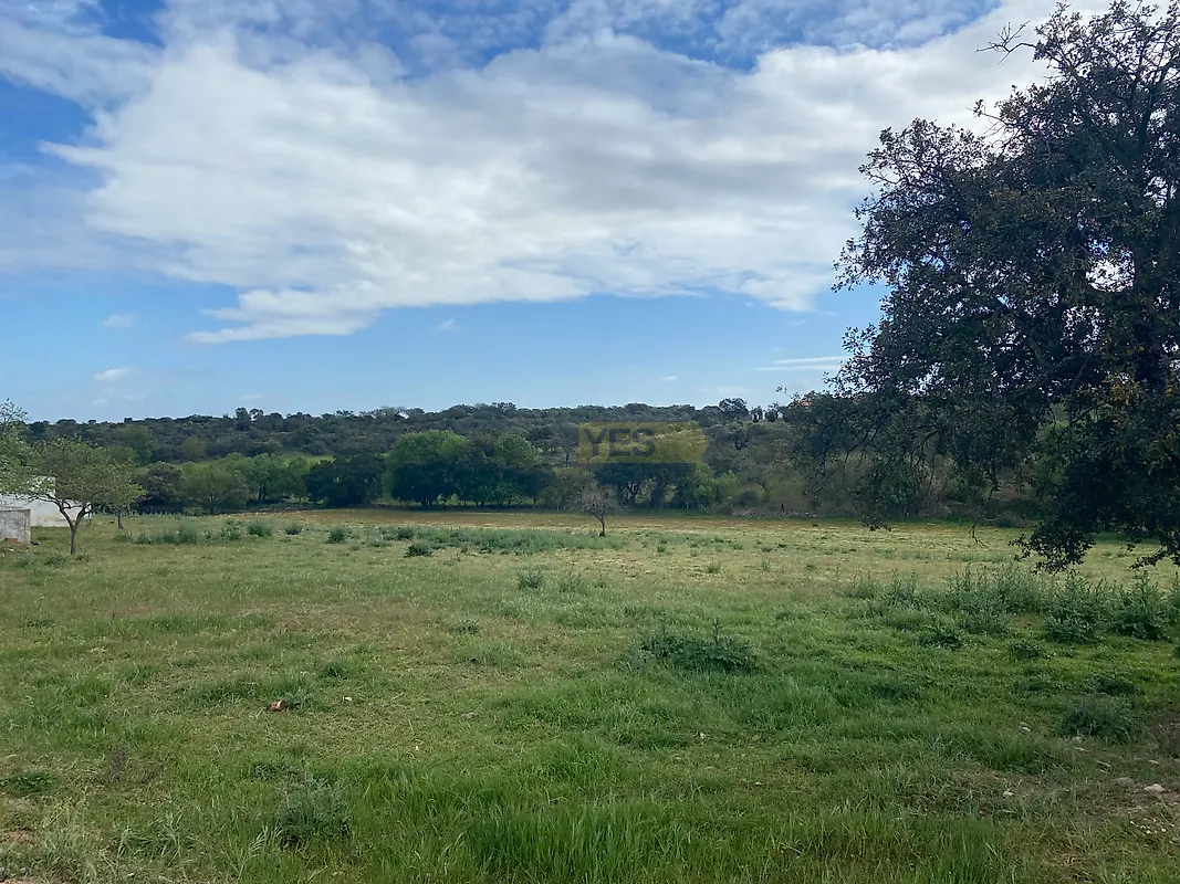 Apartamento T5 à venda em Sousel, Sousel — foto 38