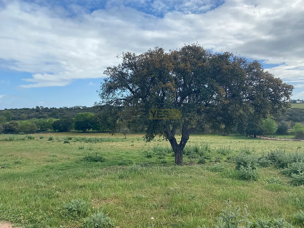 Apartamento T5 à venda em Sousel, Sousel — foto 39