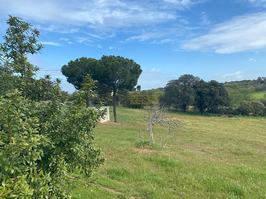 Apartamento T5 à venda em São Bento do Cortiço e Santo Estêvão, Estremoz — foto 8