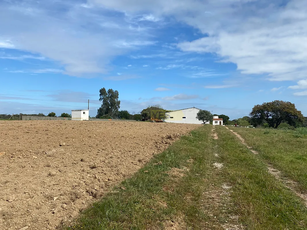 Apartamento T5 à venda em São Bento do Cortiço e Santo Estêvão, Estremoz — foto 15