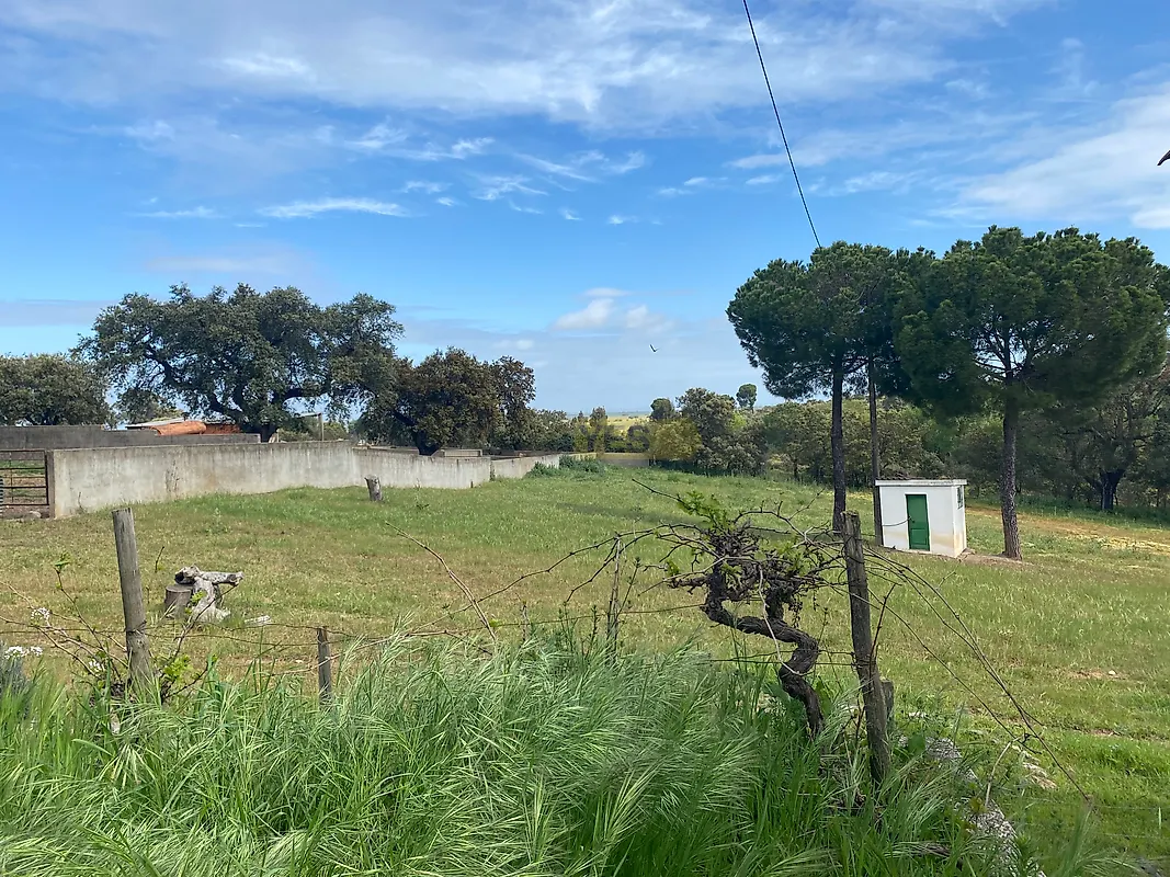 Apartamento T5 à venda em São Bento do Cortiço e Santo Estêvão, Estremoz — foto 28