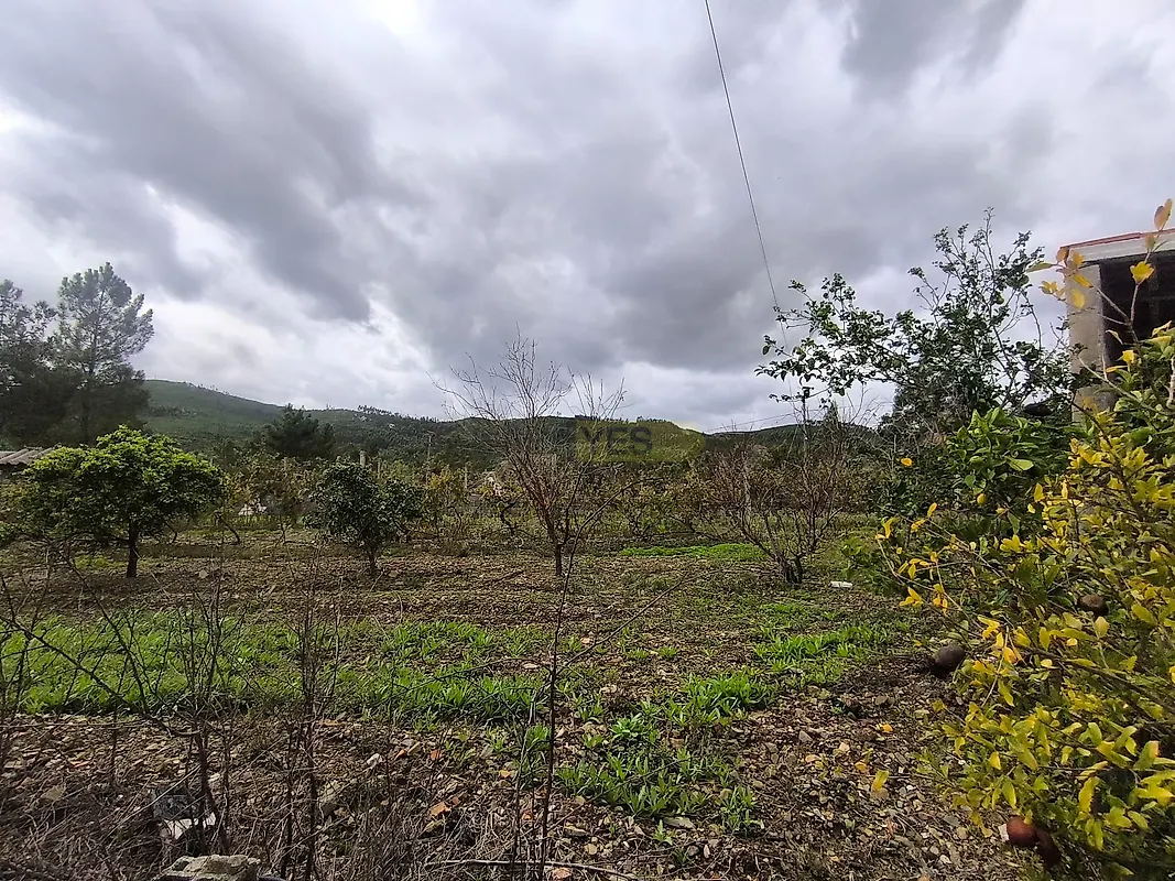 Moradia T3 à venda em Envendos, Mação — foto 18