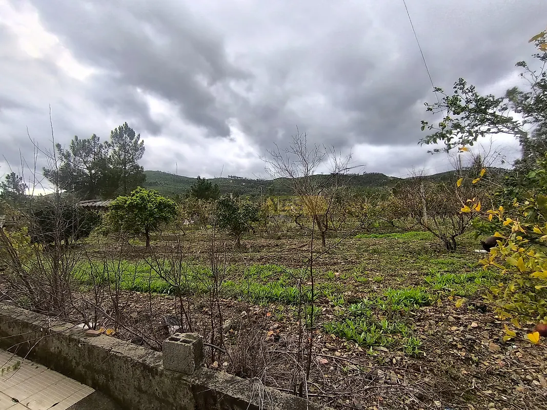 Moradia T3 à venda em Envendos, Mação — foto 20