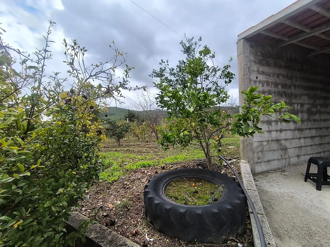 Moradia T3 à venda em Envendos, Mação — foto 22