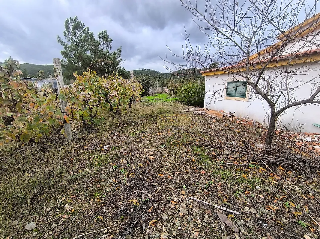 Moradia T3 à venda em Envendos, Mação — foto 28